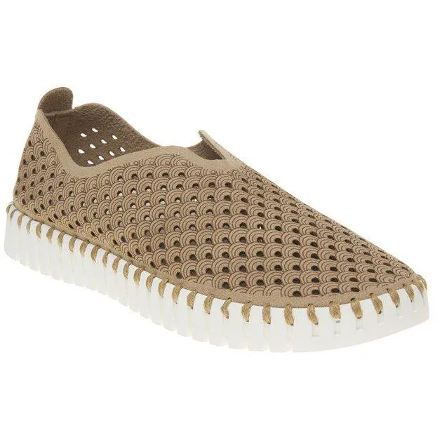 Tulip Flats (Latte)