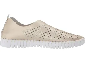 Tulip Flats (Platinum)