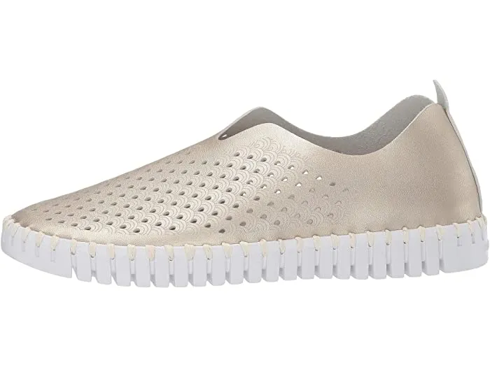 Tulip Flats (Platinum)