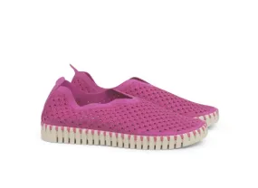 Tulip Flats