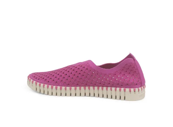 Tulip Flats